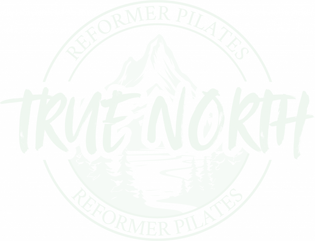 Logo hell mit Transparenz in Sekundärfarbe